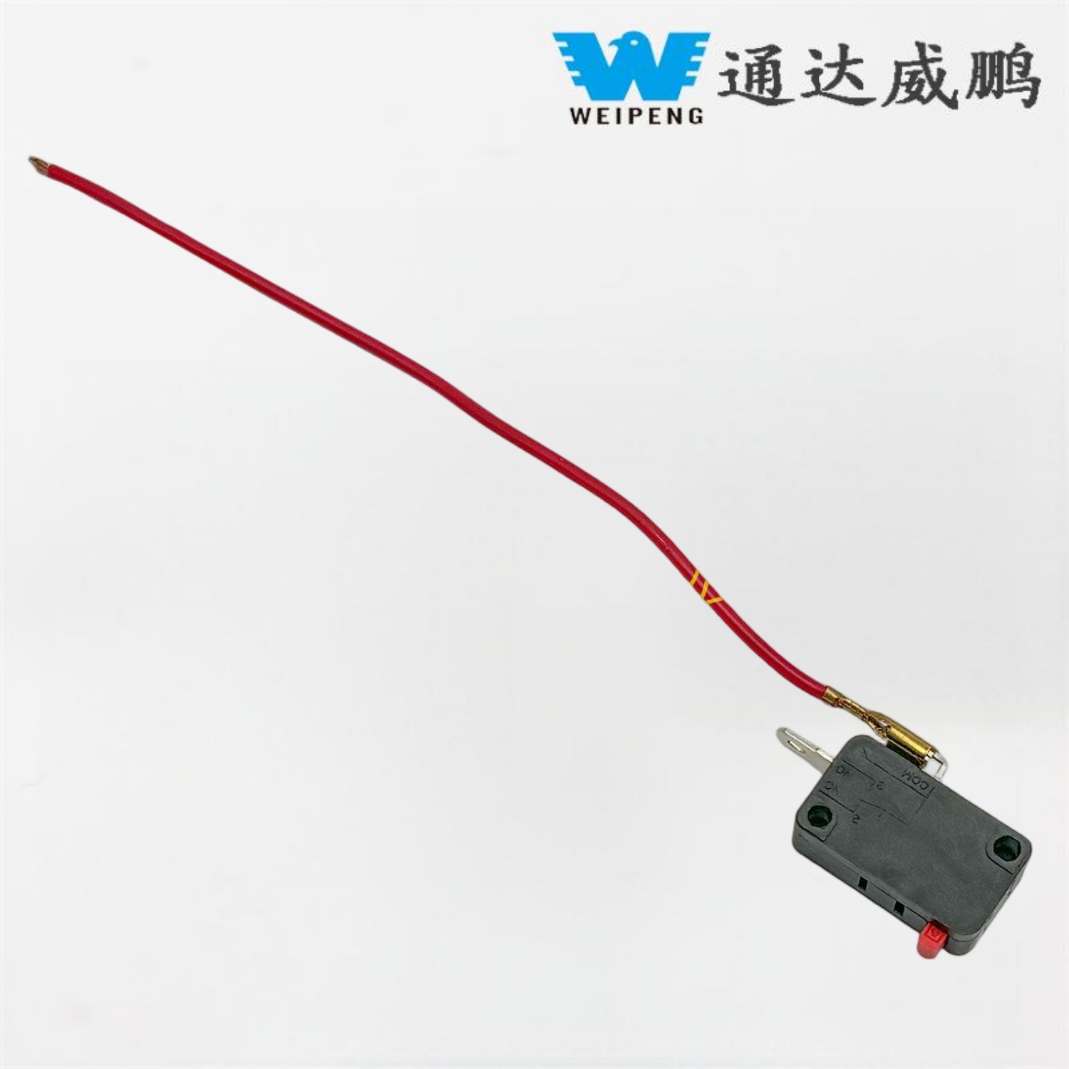 Mesin Cuci Mobil dengan Saklar Mikro Berkabel