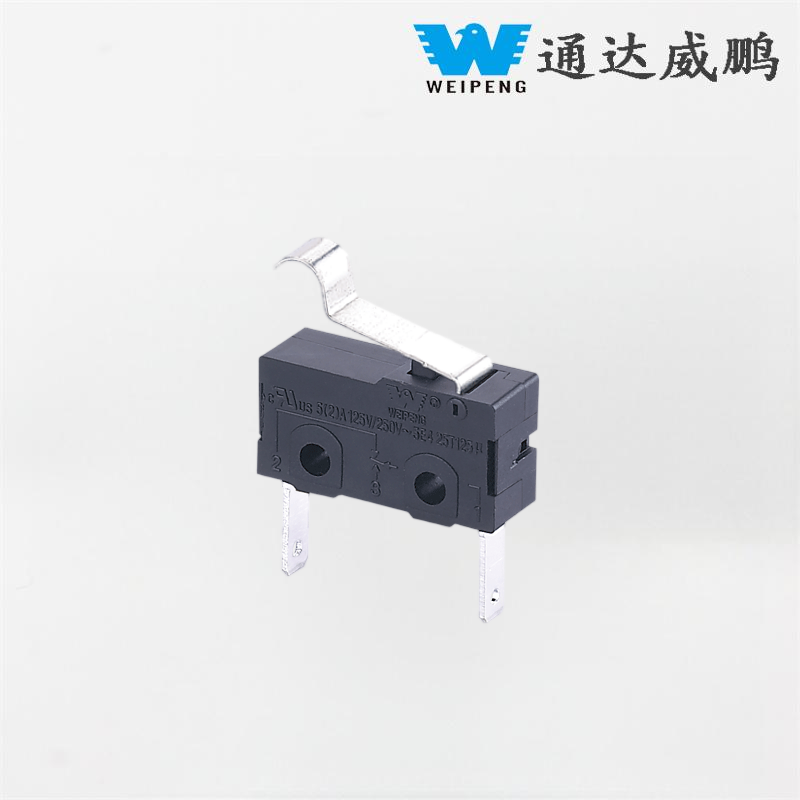 HK-04G-L Saklar Mikro Stasiun Pengisian Otomotif 5A 2-Pin Tahan Debu